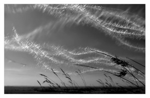 wind