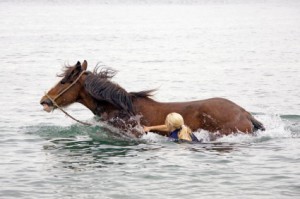 Horse In River1
