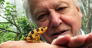David_Attenborough_and frog