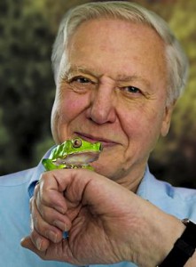 david-attenborough_