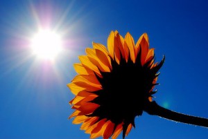 sunshine 2