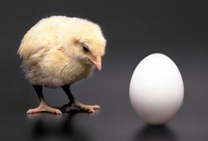 chicken-and-egg