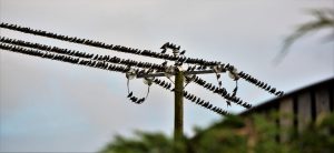 dsc_1940