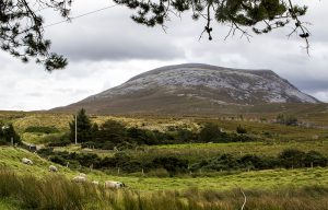 muckish-ii
