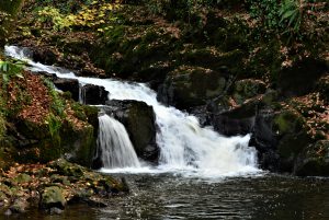 dsc_5005